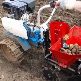 Pravilna sadnja krompira sa hodnim traktorom